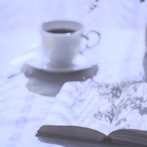 Meet your Posher, Sophia